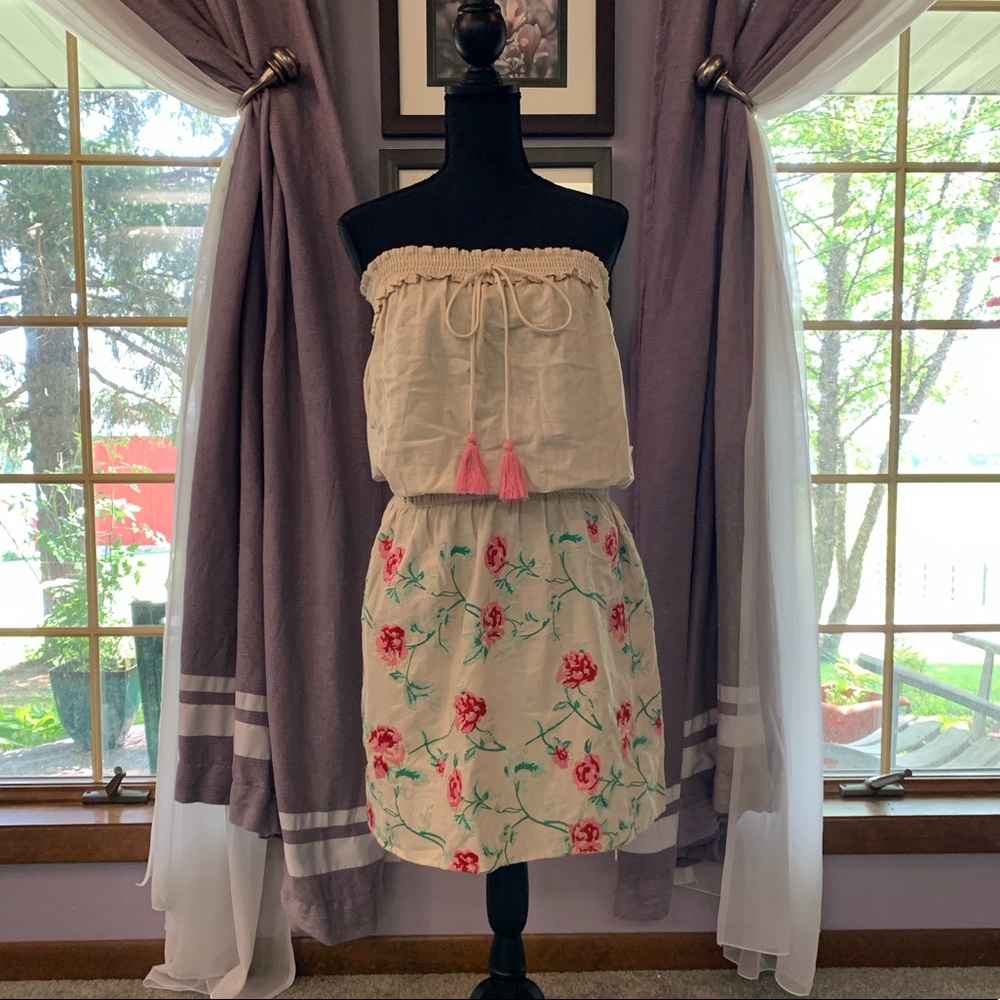 NWT Pampelone Embroidered Strapless Dress